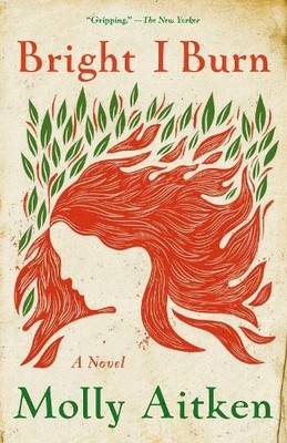 Molly Aitken Bright I Burn (Taschenbuch)