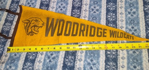  Vintage Woodridge Wildcats Pennant Banner Souvenir School Sports Felt  - Picture 6 of 7