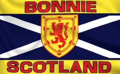 Schottland Flagge Bonnie Scotland Fahne Flagge Bonnie Scotland 100cm x 140cm