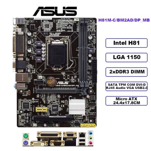 Placa madre ASUS H81M-C/BM2AD/DP_MB M-ATX Intel H81 LGA1150 DDR3 16 GB SATA2/3 - Imagen 1 de 10