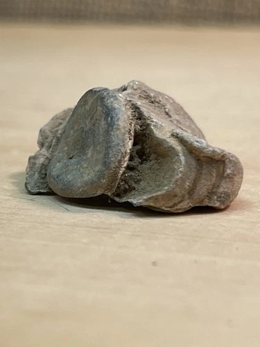 Dug Fired Smashed Impact Civil War Williams Cleaner Bullet From Dalton Ga