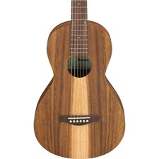 Ibanez PN2WS PN Acoustic Guitar - Open Pore B...