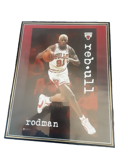 PSA 9 】Dennis Rodman Auto サイン Silver Prizm サイン 2019-20 