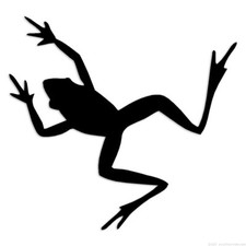 Frog - Decal Sticker - Multiple Colors Sizes - ebn6072