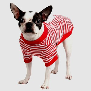 puppia sweater
