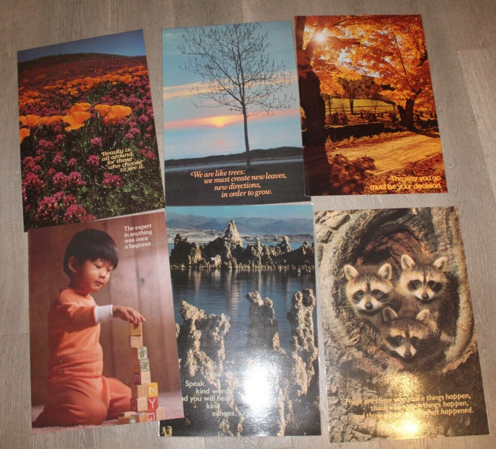 Lot Of 6 Argus Communications Laminated Posters Motivational 1970s 1980s