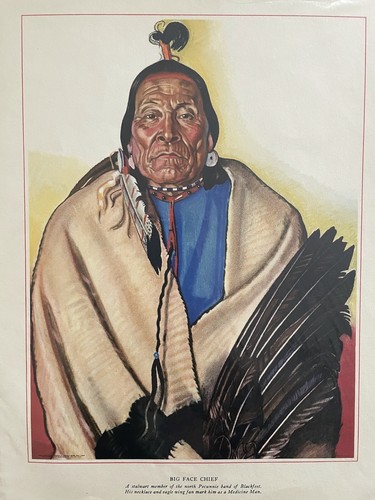 set of 15 winold reiss native americans, blackfeet indians 9” X 12”litho prints - Picture 4 of 12
