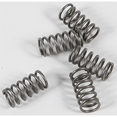 EBC Brakes Clutch Springs CSK116