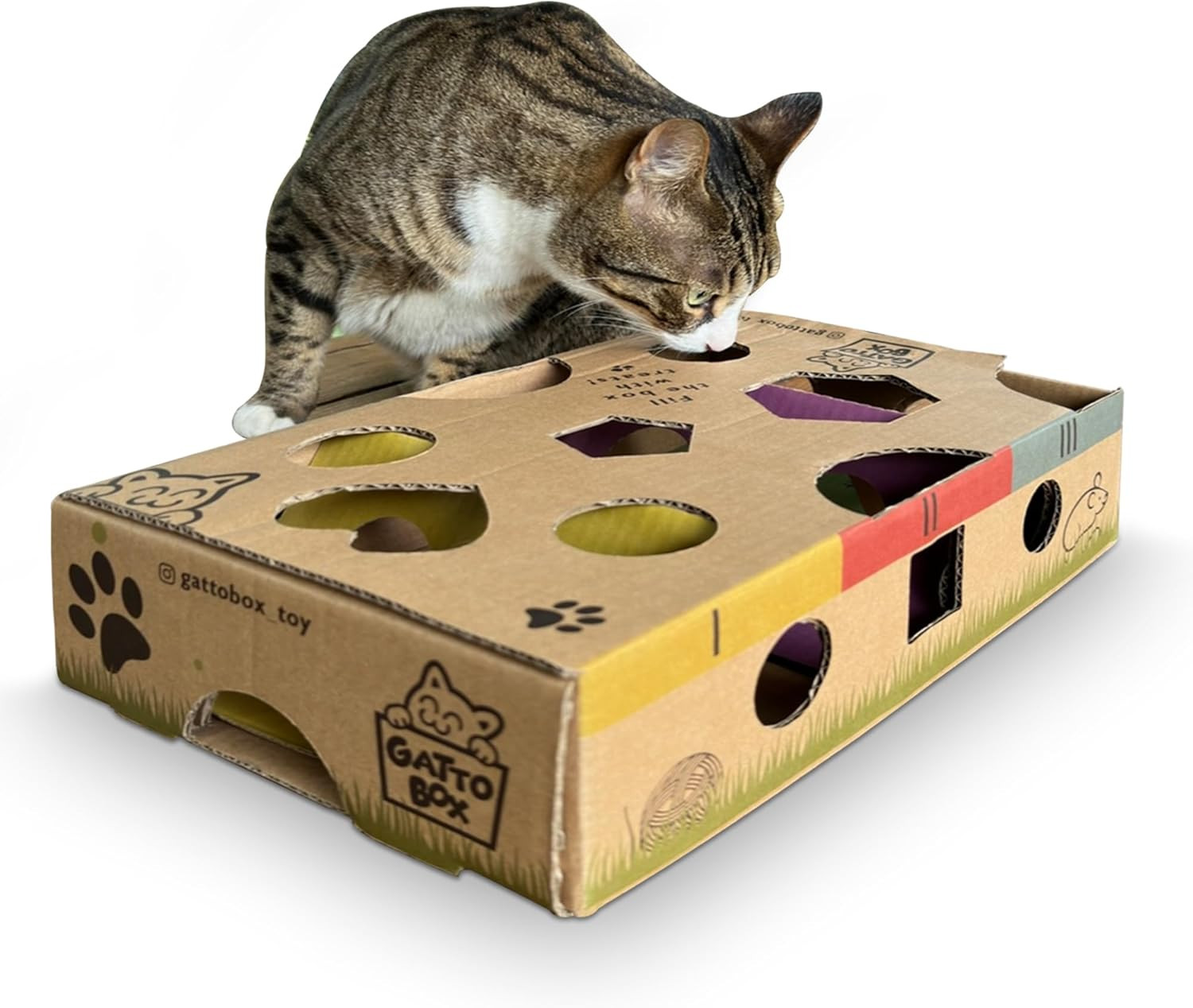 Acquista il Gioco Gatto Interattivo Definitivo: Arricchimento e Fitness