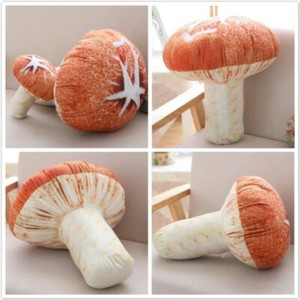 mushroom cushion