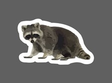 Raccoon Sticker Illustration Waterproof Animal Outdoor Wildlife Gift NEW