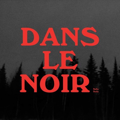 Safia Nolin Dans Le Noir (Vinyl)