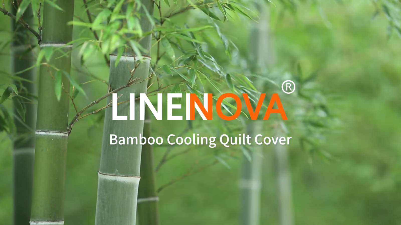 Pure 100 Bamboo Quilt Cover Set Luxury Soft Silky Touching S/D/Queen/K