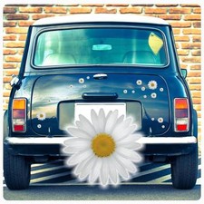 Margerite Blumen Auto Aufkleber Digitaldruck Blumenaufkleber Sticker DA018-M