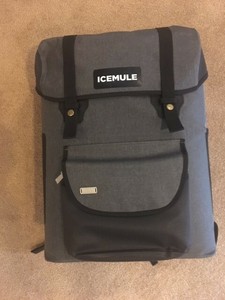 icemule urbano