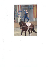 Jasmin Gipperich... ( Reitsport ).... Autogra...