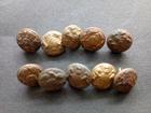 TEN SMALL WW1/WW2 PEAK CAP BRITISH ARMY GENERAL SERVICE BUTTONS