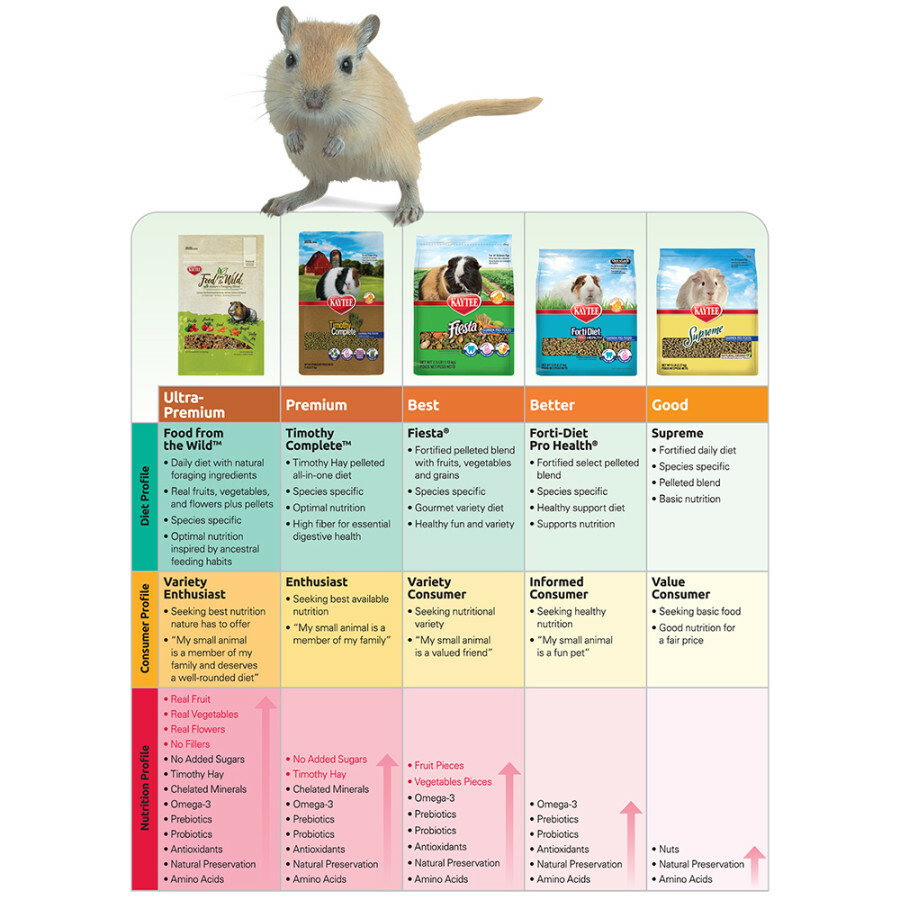 Kaytee Fiesta Gourmet Variety Diet Rat & Mouse Food 2 LB
