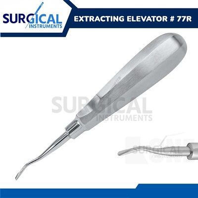 Root Dental Tooth Extracting Elevator # 77R Stainless Steel German Grade
