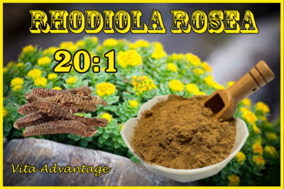 RHODIOLA ROSEA 20:1 EXTRACT POWDER 3% ROSAVIN 1LB