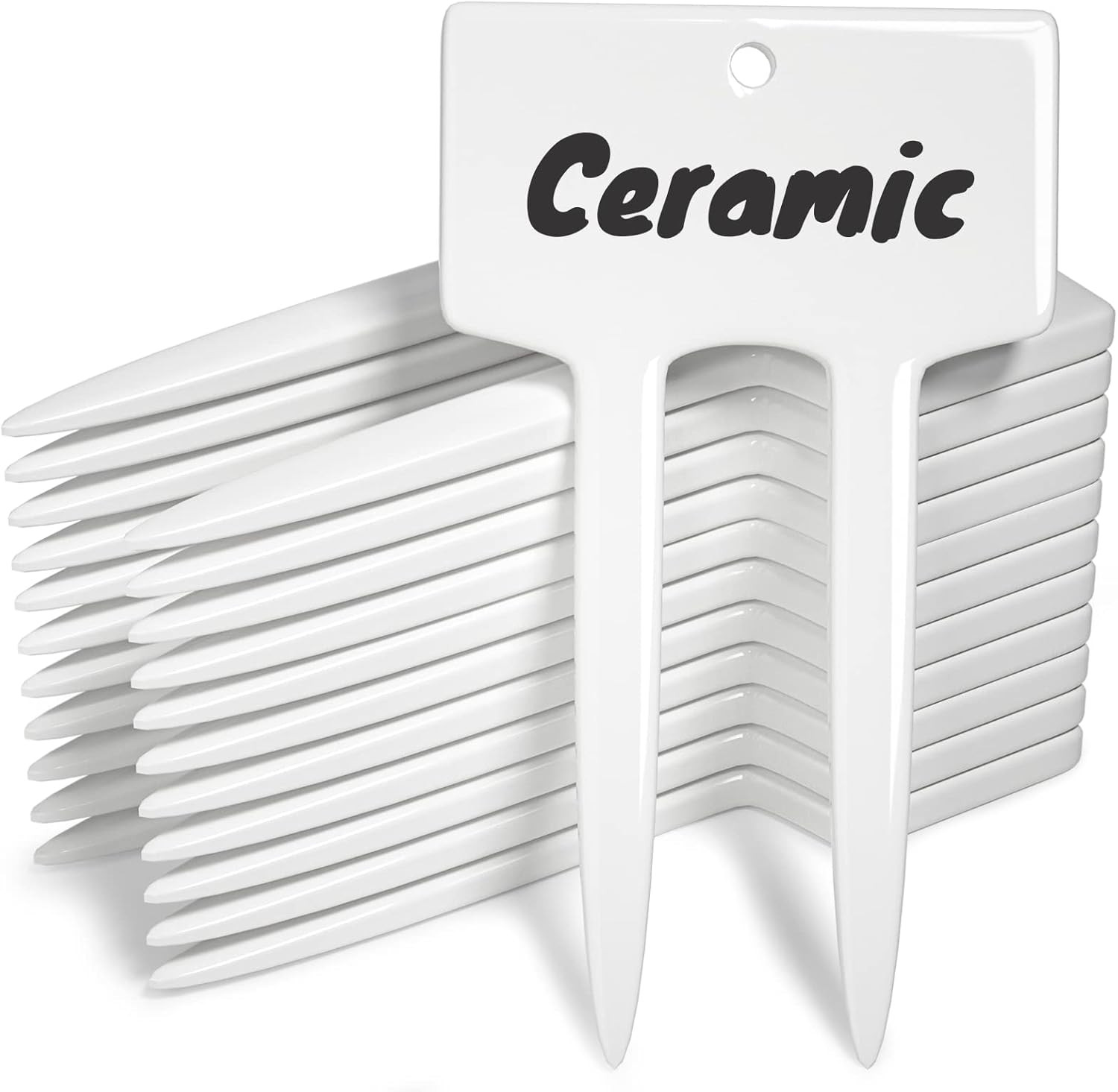 Plant Labels, Ceramic Garden Markers, Herbs Succulent Name T