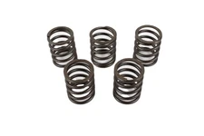 5 Pack Genuine Robin 20A-33601-03 Valve Spring fits EX17 EX21 EX27 279-33601-03