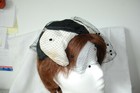 Bild 2 von 8