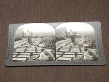 VINTAGE STEREOVIEW STEREOSCOPES CARD BRICK FACTORY NINEVEH MESOPOTAMIA