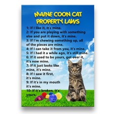 MAINE COON CAT Property Laws Fridge Magnet No 3 Funny
