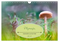 "Calendar 2027 · US Version · Pilzmagie (Wall Calendar 2027 12\" × 8\" Landscape),"