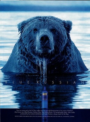 1997 Skyy Vodka Print Ad Black Russian Bear