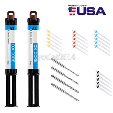 Dental Dentex Dual Cure Composite Resin Core Build A2 A3 /AAA Fiber Post