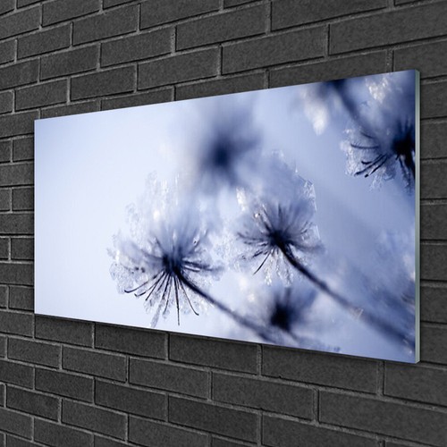 Glass print Wall art 100x50 Image Picture Dandelion Floral eBay
