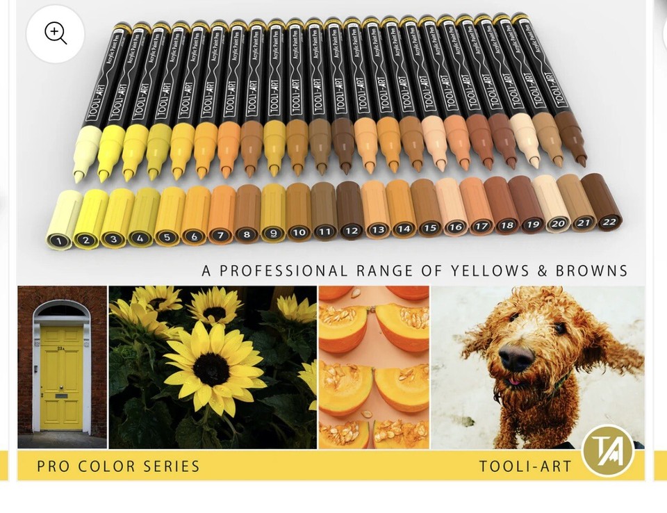 Acrylic Paint Pens 22 Assorted (Yellow & Browns) (XF) Brand New!! eBay