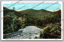 Vintage Postcard 1940 Cold Spring Creek At Foot Of Max Patch Mtn North Carolina