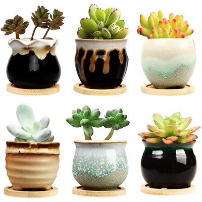 Brajttt 2.1 Inch Succulent Pot with 2.3inch-6pack, Mix Colours 
