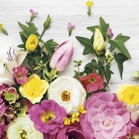 20 Servietten Florals -BlüTensammlung Ranunkeln Tulpen Blumen Garten 33X33Cm