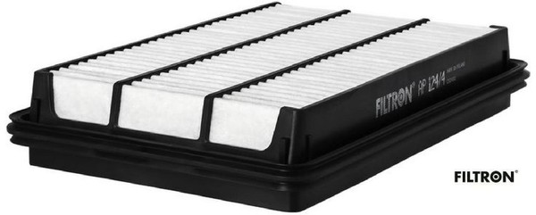 Filtron AP124/4 Luftfilter Luftfiltereinsatz FüR Nissan FüR Renault-image