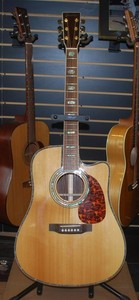 Starshine - Martin D-45 Copy W/Electronics