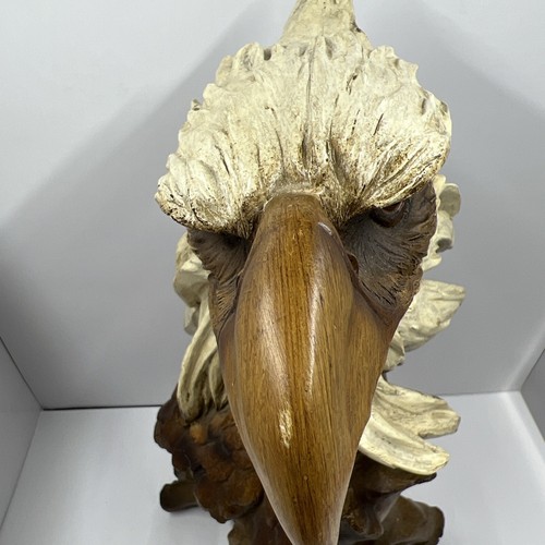 Statua busto testa di aquila in resina maestosa altezza 11" - Foto 7 di 13