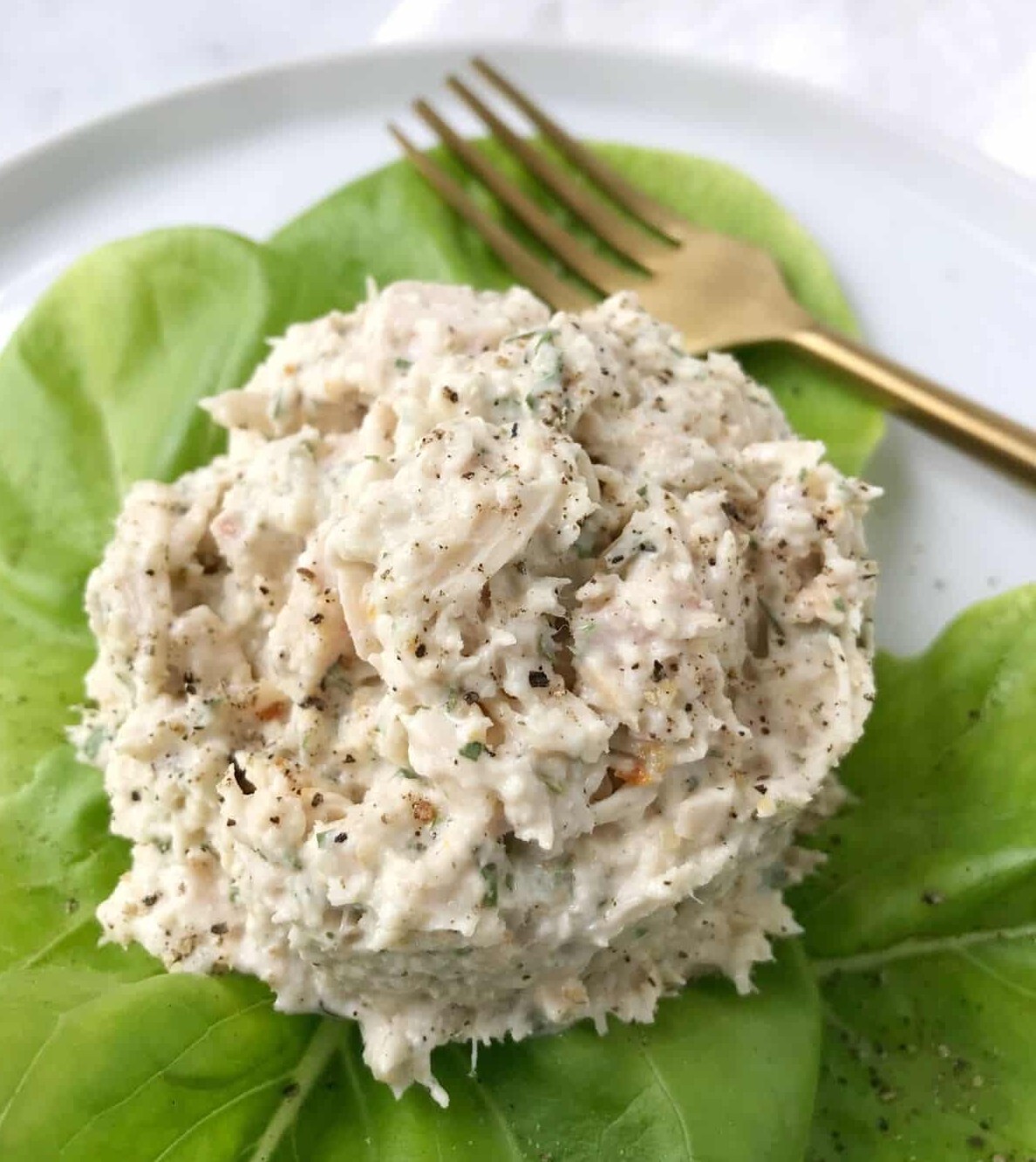 TUNA SALAD FREEZE DRIED - BUY 2 BAGS GET FREE SHIPPING!