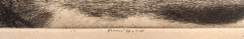 PRIMI 1920 ERNEST HASKELL SPECCHIO ACQUAFORTE FIRMATO A MATITA DELLA DEA - Foto 5 di 7