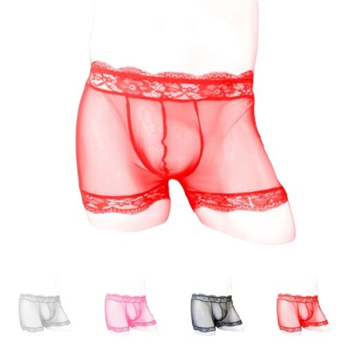 Mens Boxer Briefs Sheer Mesh Bulge Pouch Underwear Swimsuit Underpants Knickers - Picture 1 of 16