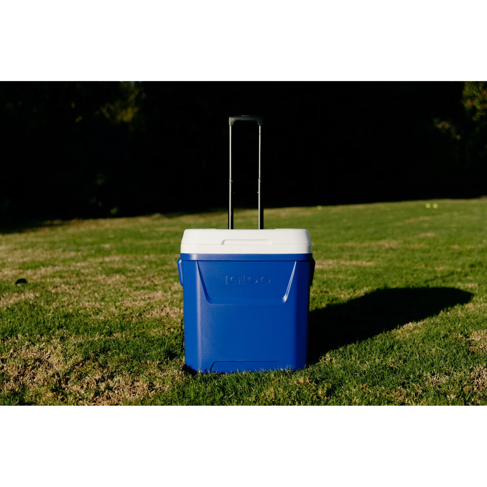 Igloo 60 QT Laguna Ice Chest Cooler with Wheels Camping,Hiking, Outdoor Activiy