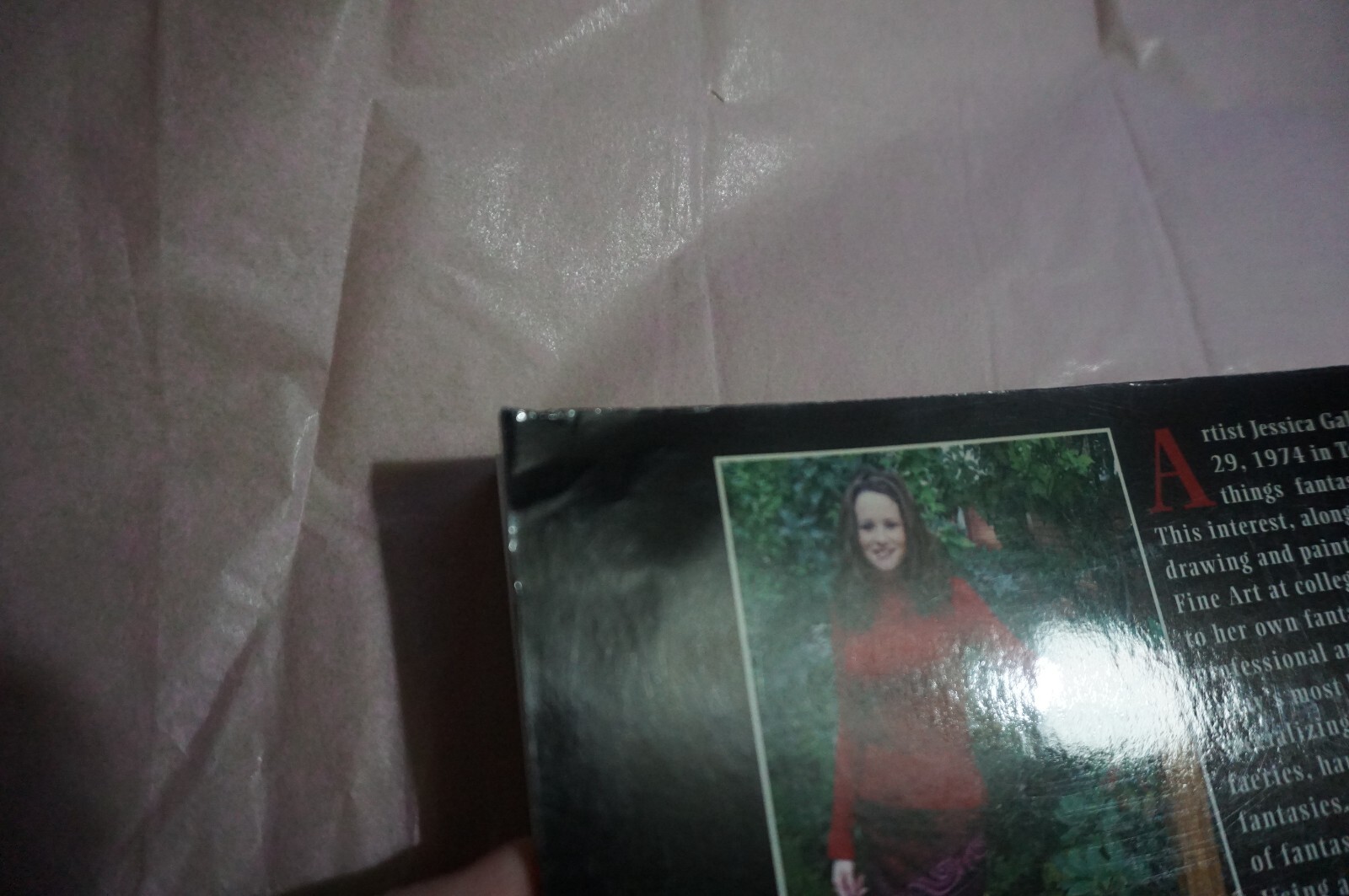 The Enchanted World of Jessica Galbreth  by Jessica Galbreth Paperback image 8