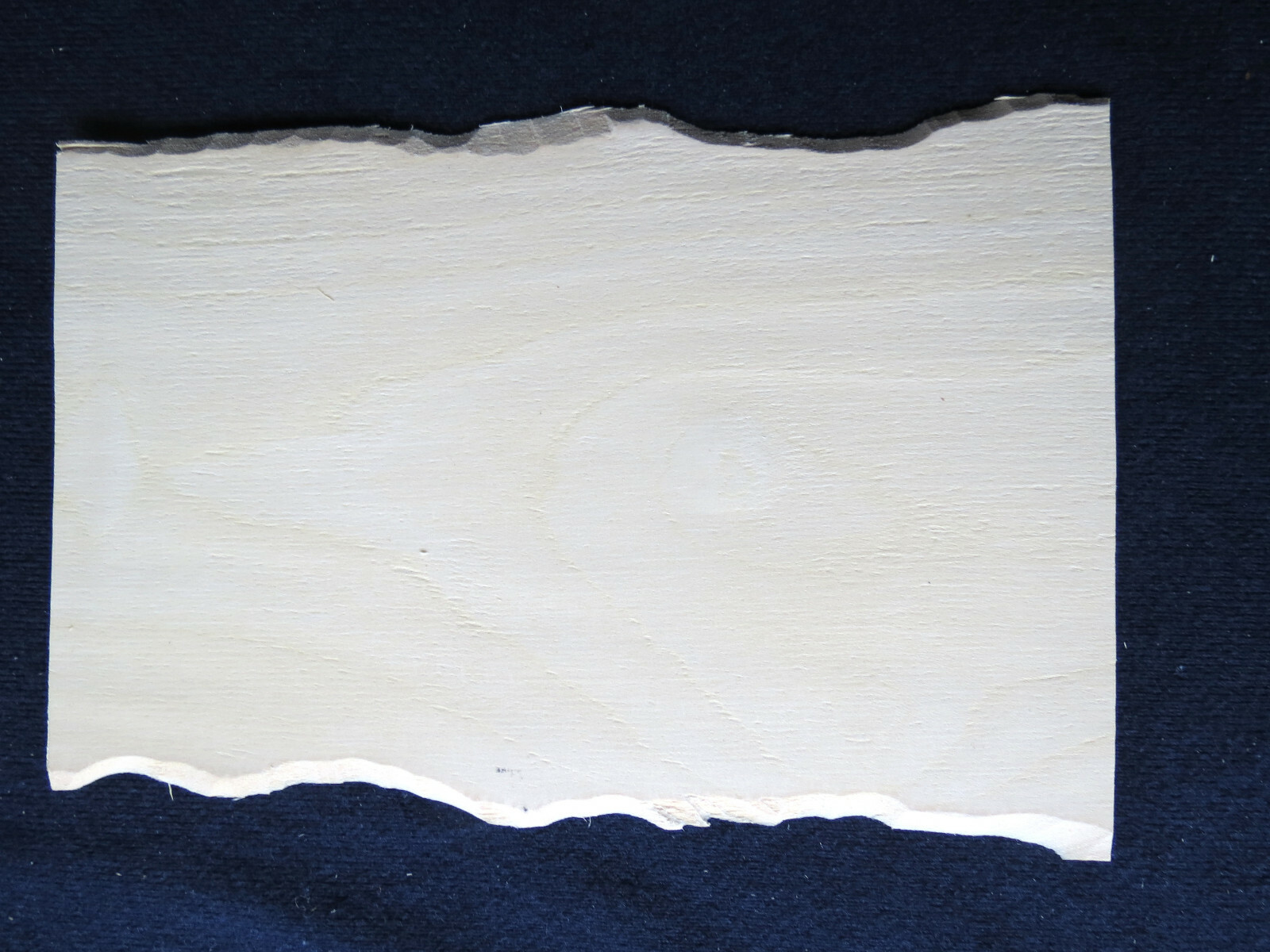 Holly 1/16" Headstock Veneer blank American white wood, kd - 4" x 8" LUTHIERS!