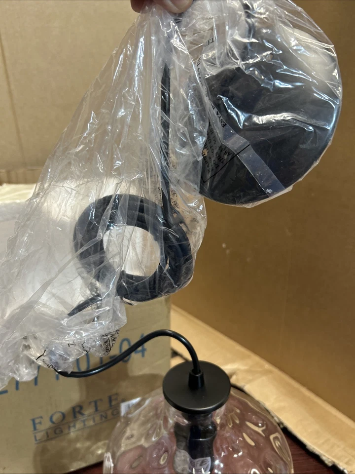 Forte Lighting Mini Pendant Fixture 8”W x 11.25” T Clear Glass Globe NEW - Image 4 of 4