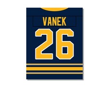 THOMAS VANEK Buffalo Sabres comparable Hockey Photo Picture 8x10 11x14 16x20 JZ