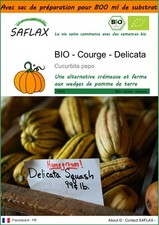 SAFLAX Jardin dans le sac - BIO - Courge - Delicata - 6 graines - Cucurbita