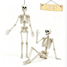 5.75ft Life Size Posable Halloween Skeleton, Movable Joints
